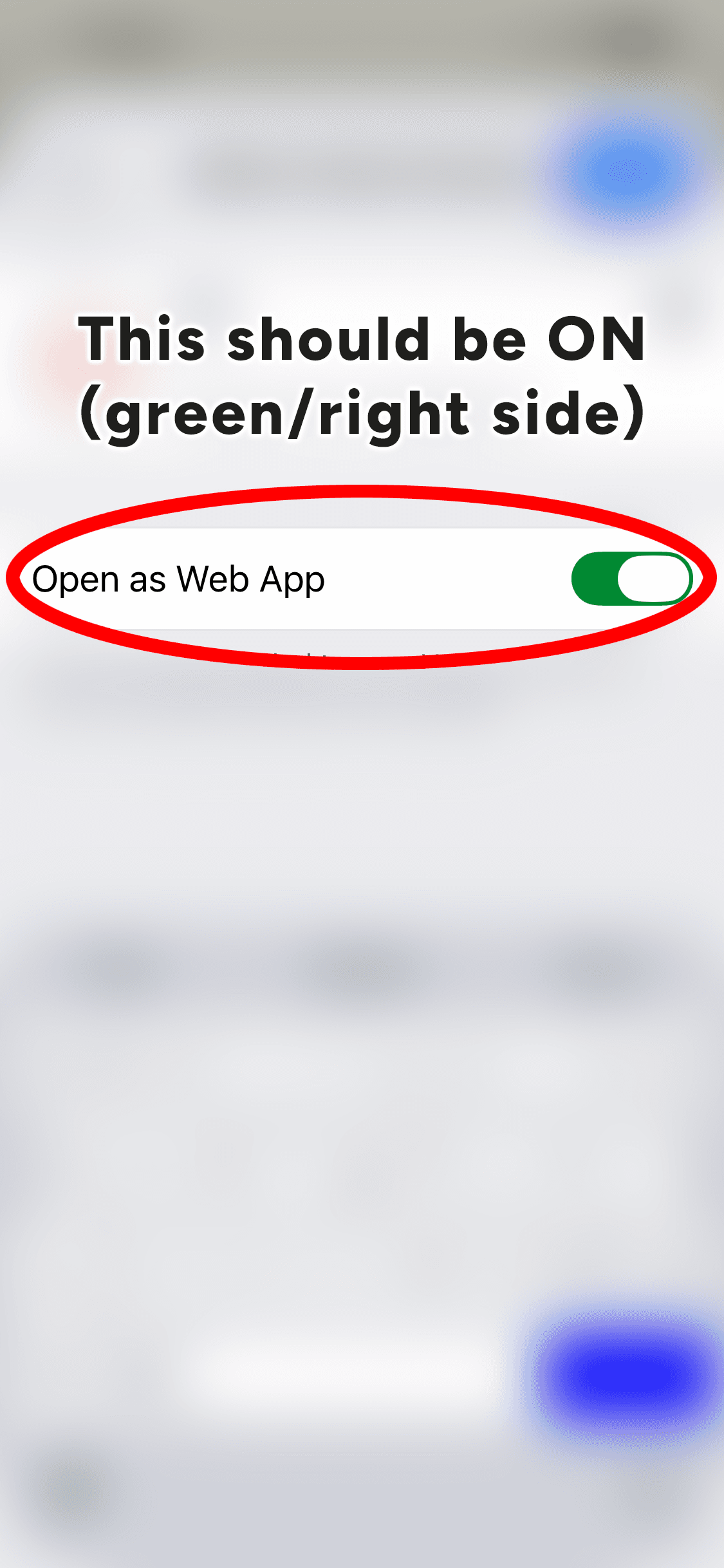 Step 6: Open as Web App should be ON.